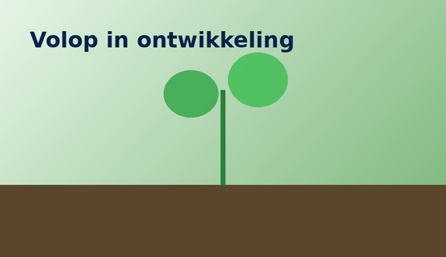 Ontwikkeling