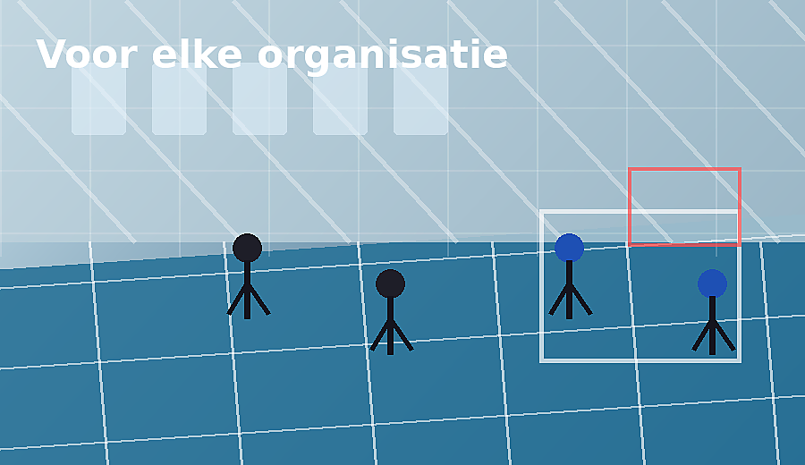 Organisaties